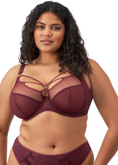 Elomi Sachi Plunge Bra Cabernet