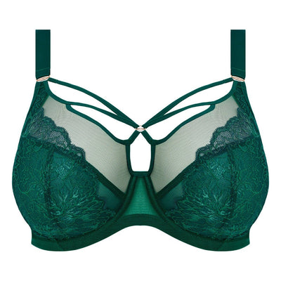 Elomi Brianna Plunge Bra Rainforest