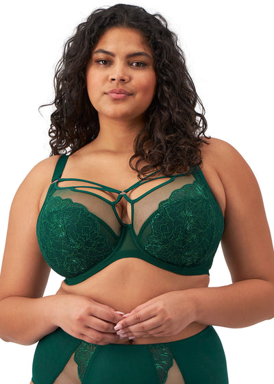 Elomi Brianna Plunge Bra Rainforest