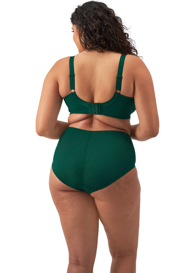 Elomi Brianna Full Briefs Rainforest