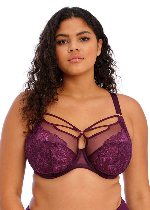 Elomi Brianna Plunge Bra Blackberry