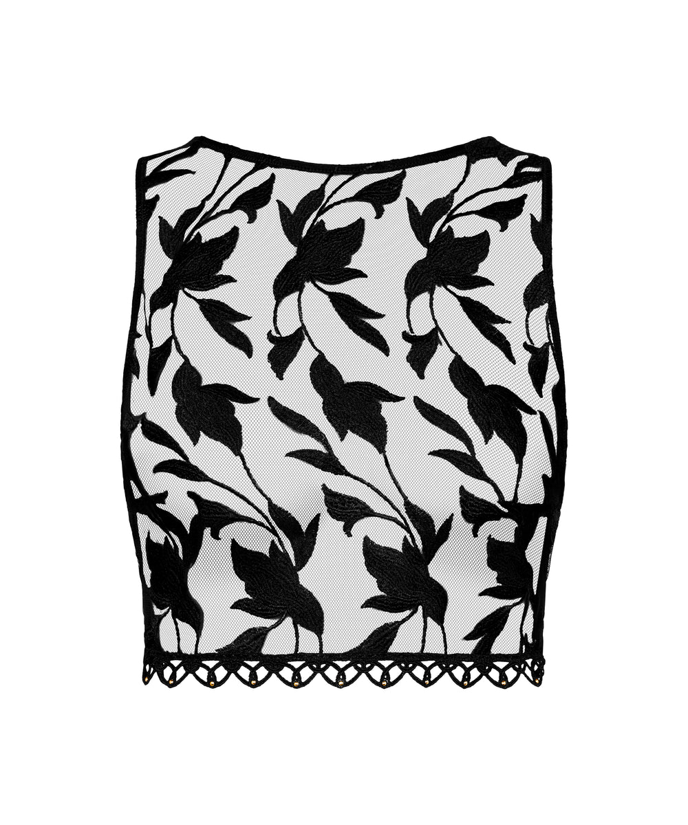 Aubade Night at Paradise Top