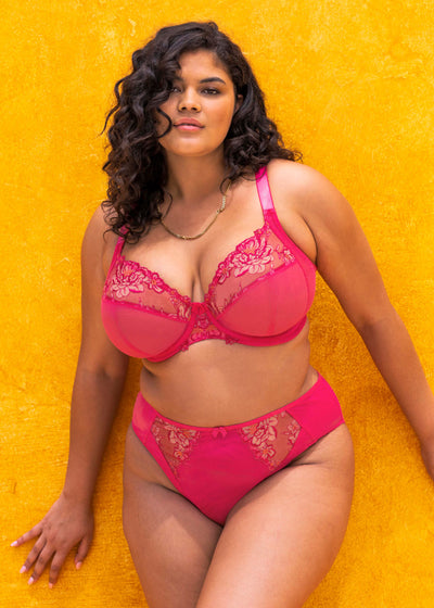 Elomi Teagan Plunge bra Black Azalea