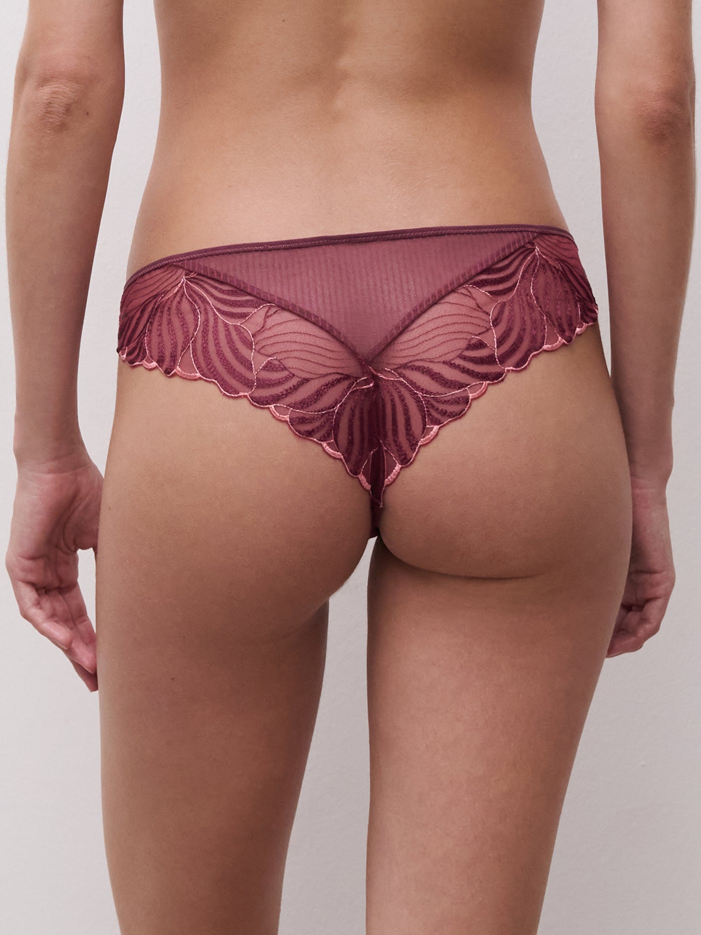 Chantelle Legend Tanga Sienna/Guava