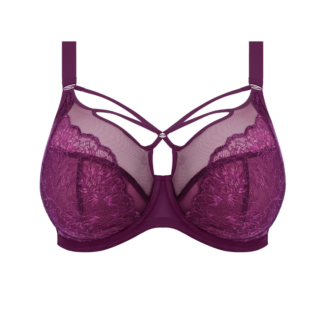 Elomi Brianna Plunge Bra Blackberry