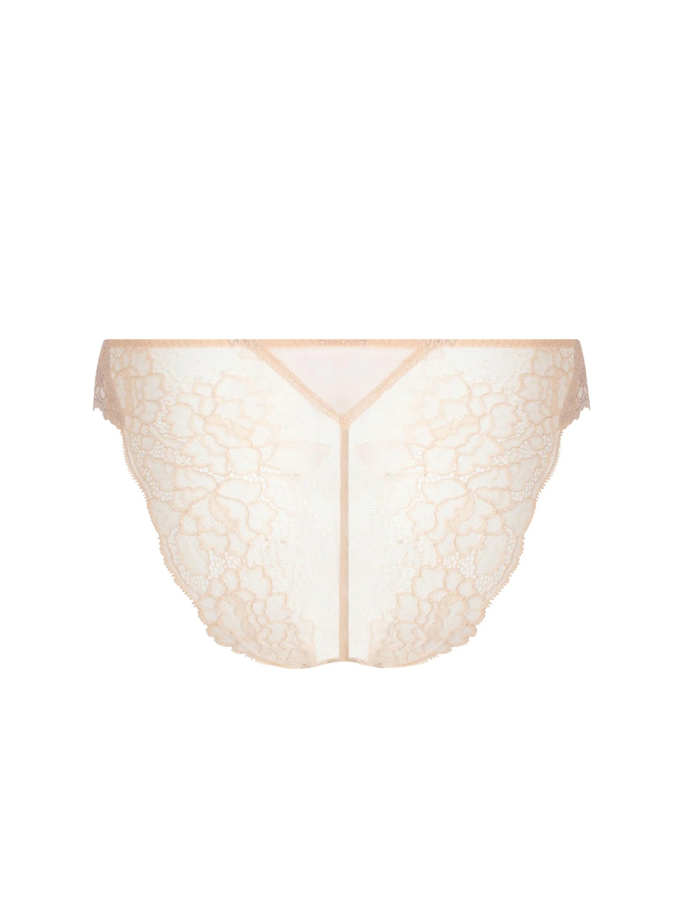 Lise Charmel Sublime en Dantelle Italian Brief Nude Sublime