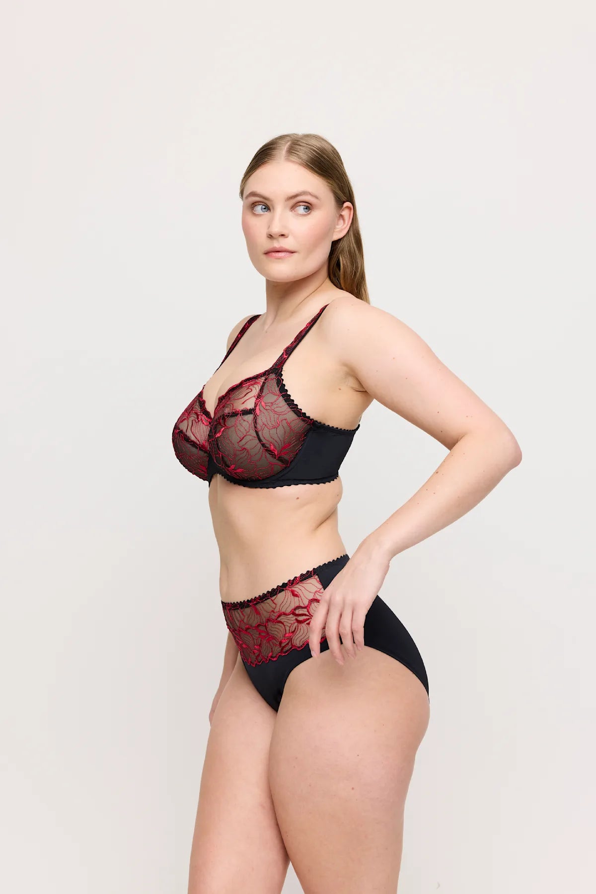 PrimaDonna Springdale Full Briefs Black Rose