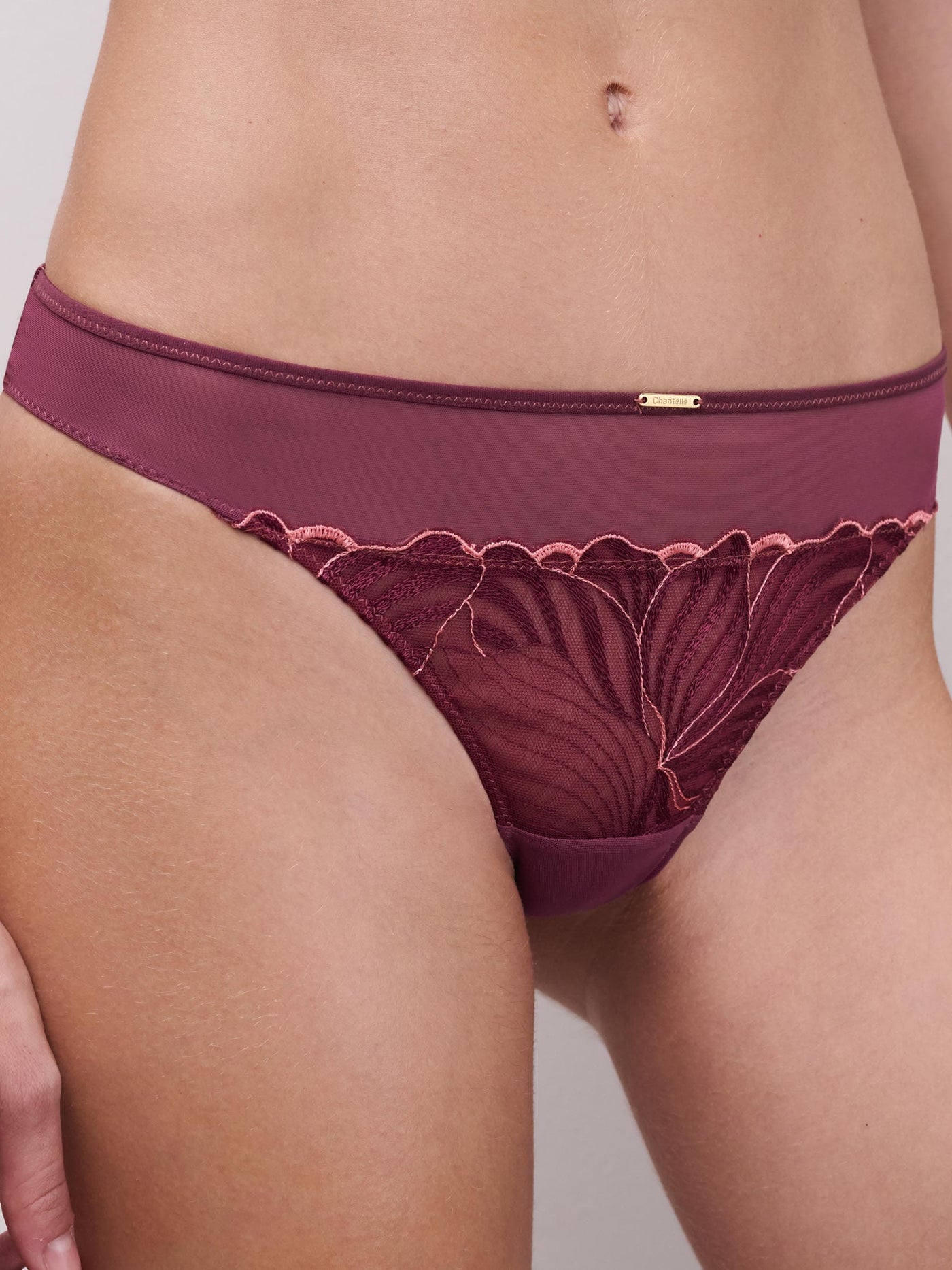 Chantelle Legend Tanga Sienna/Guava